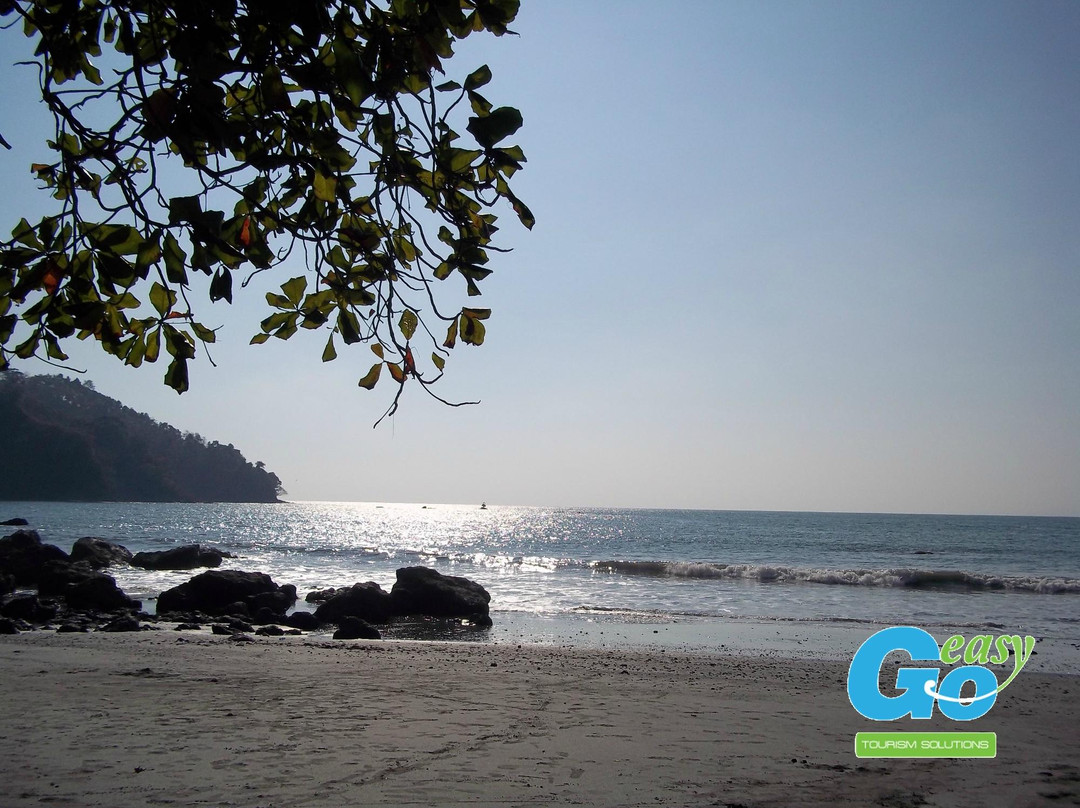 Go Easy Private Tours-圣何塞必去景点