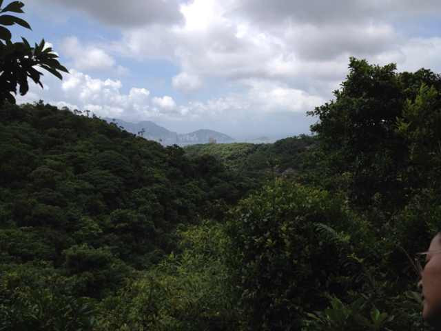 大帽山郊野公园-香港必去景点