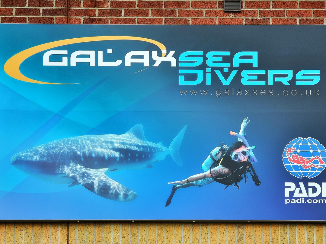 Galaxsea Divers景点图片