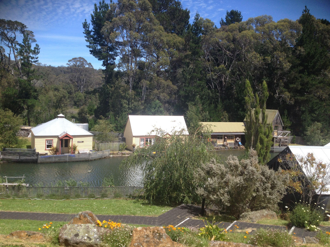 Fish Lips Cafe and Accommodation主图