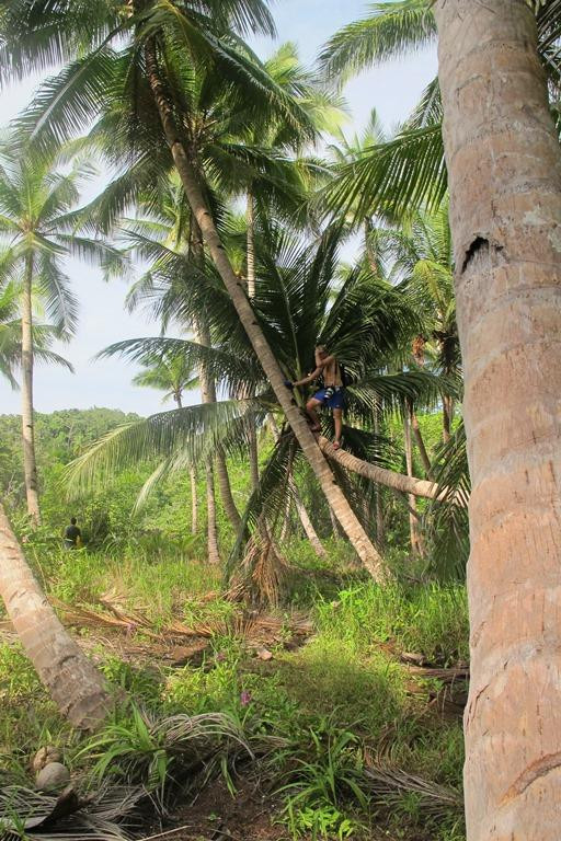 Sea Sanctuaries Trust-四王岛必去景点
