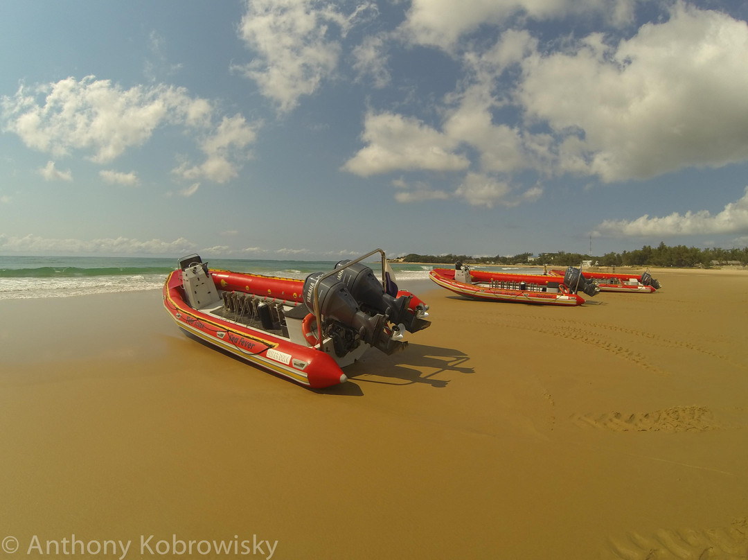 Tofo Scuba-托佛必去景点