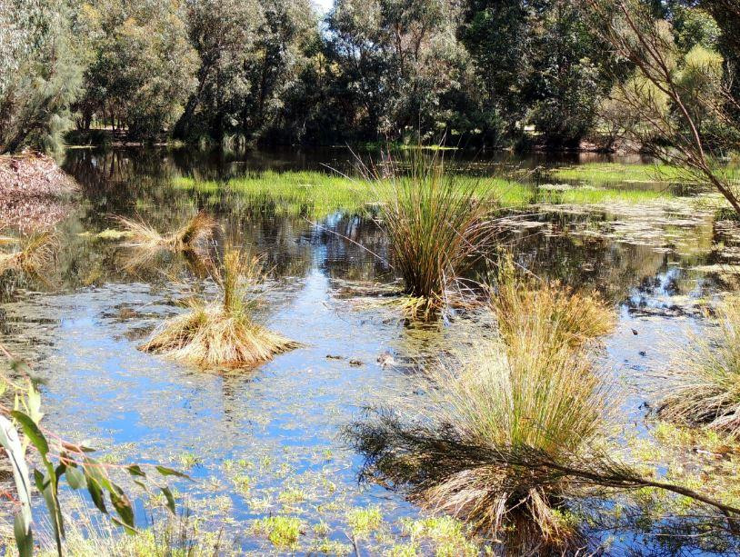Tomato Lake-Kewdale必去景点