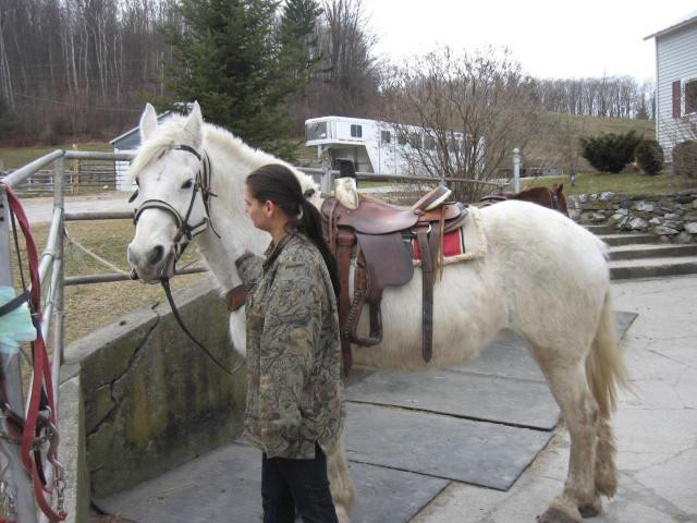 Mountain View Ranch-Danby必去景点