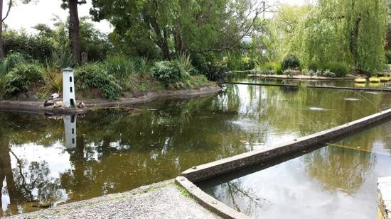 城市公园-朗塞斯顿必去景点