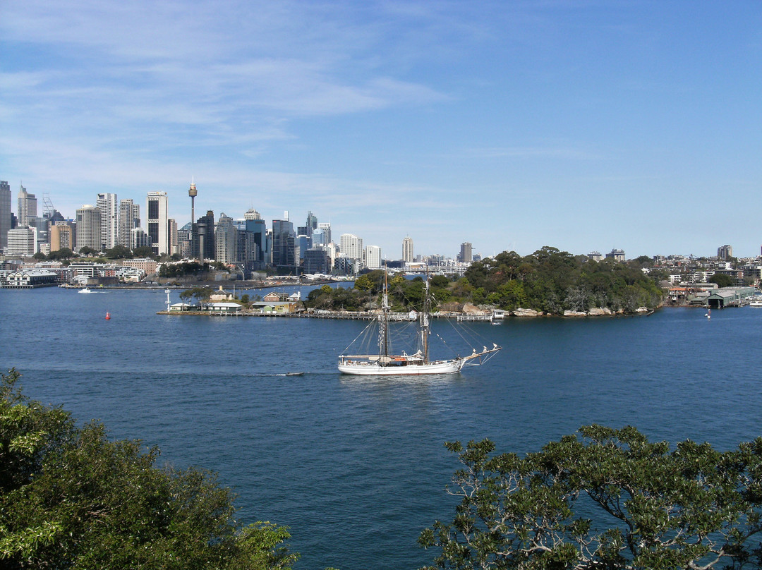 Balls Head Reserve景点图片