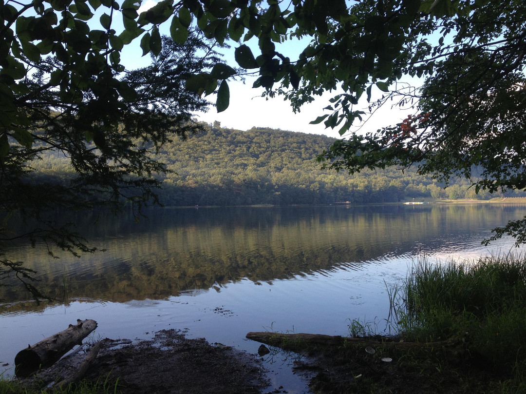 Locust Lake State Park-Mahanoy City必去景点