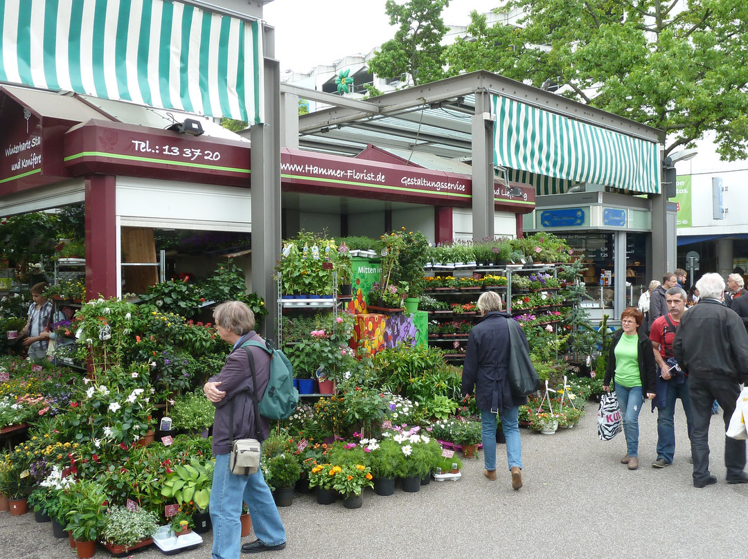 Carlsplatz Markt-杜塞尔多夫必去景点