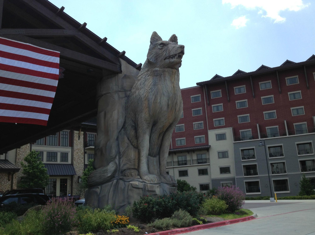 Great Wolf Lodge Waterpark-葡萄藤必去景点