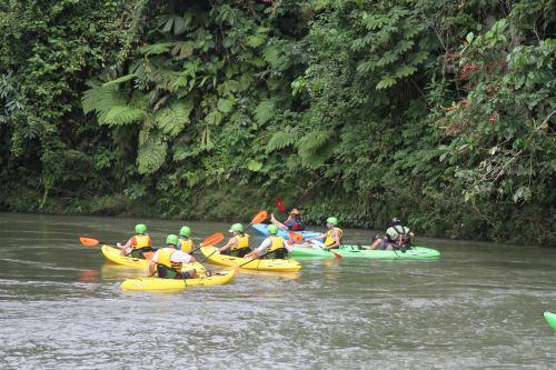 Cinco Ceibas Rainforest Reserve and Adventure Park景点图片