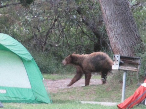 Wilderness Park-阿卡迪亚必去景点