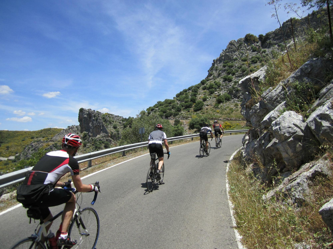 Andalucian Cycling Experience Day Trips景点图片