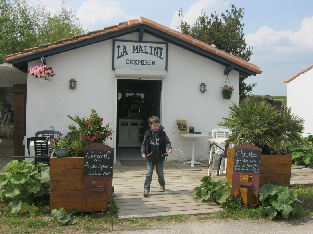l'Eguille sur Seudre旅游攻略图片
