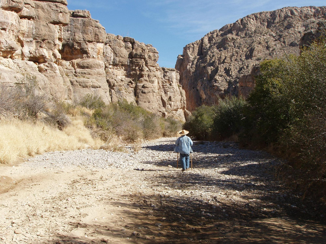 Dog Canyon-大弯国家公园必去景点