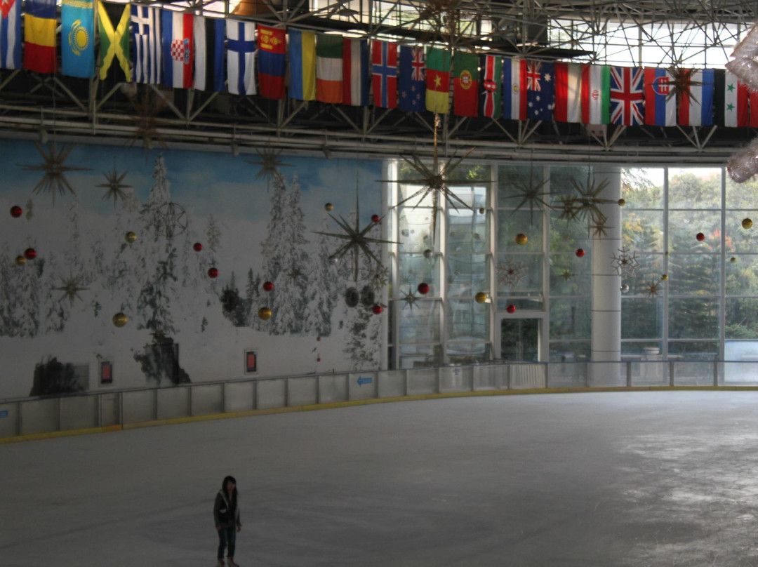 阿尔卑斯冰雪世界-深圳市必去景点