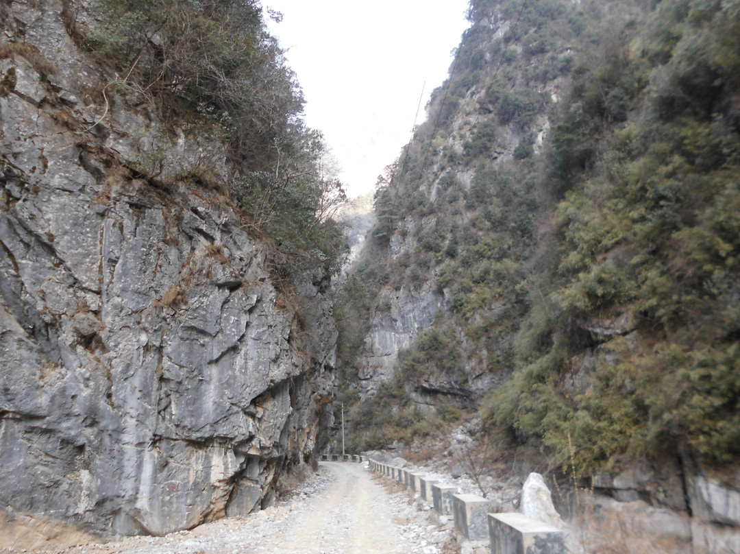 小陇山国家级自然保护区景点图片