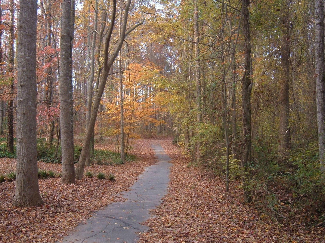 Golf Cart Paths-桃树市必去景点
