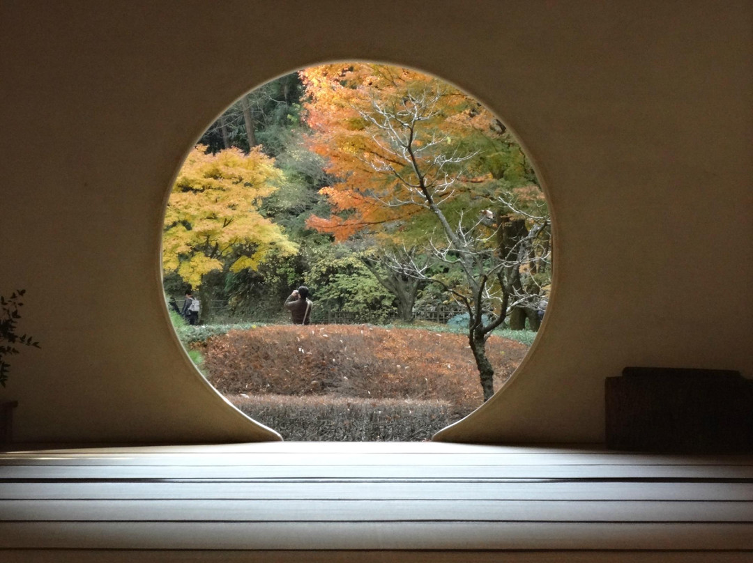 明月寺（紫阳花寺）-镰仓市必去景点