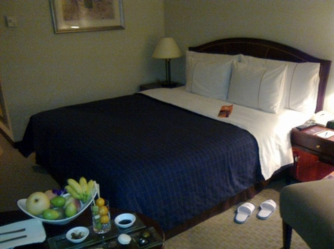 成都天府丽都喜来登饭店（天府广场店）主图