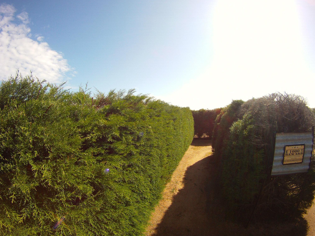 Avenel Maze-Avenel必去景点