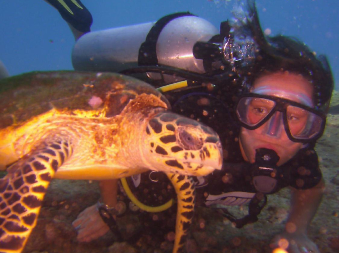 皮皮岛浮潜-大皮皮岛必去景点