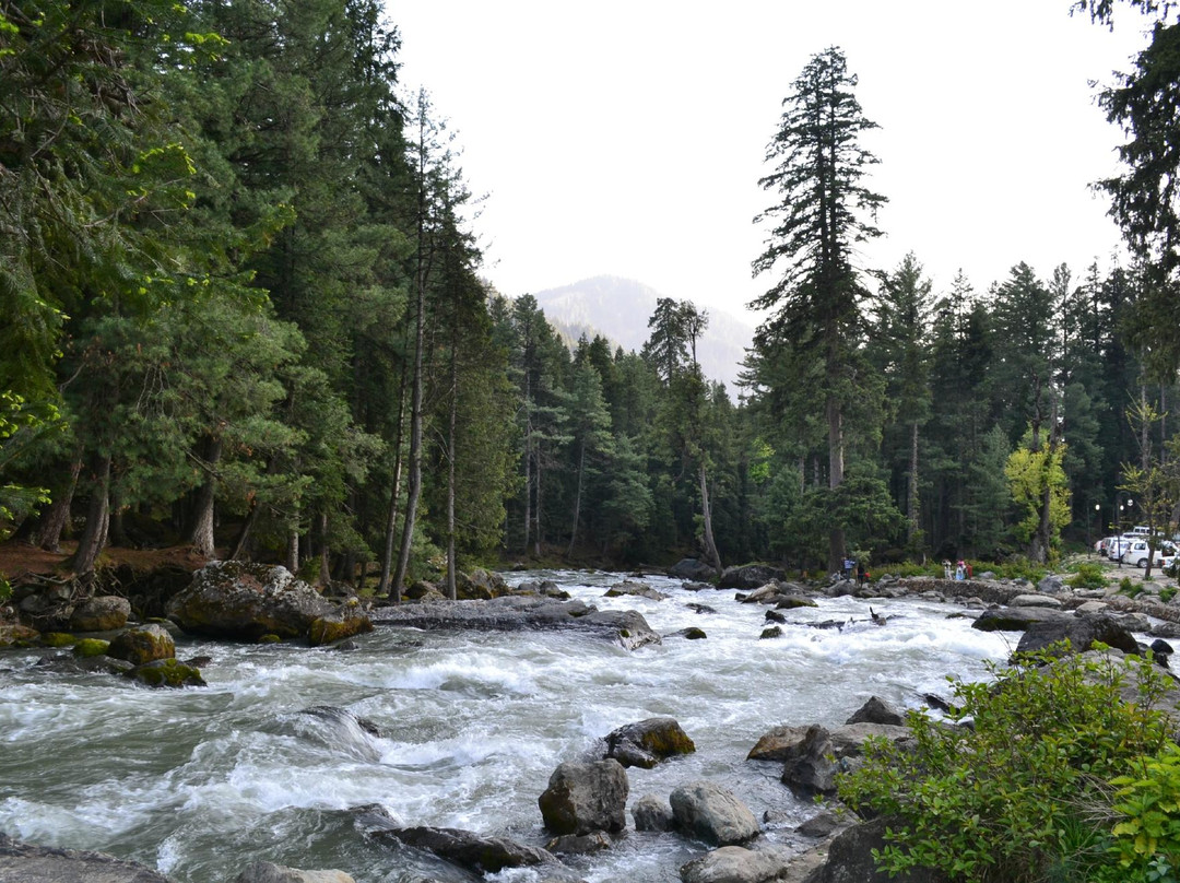 Betaab Valley景点图片
