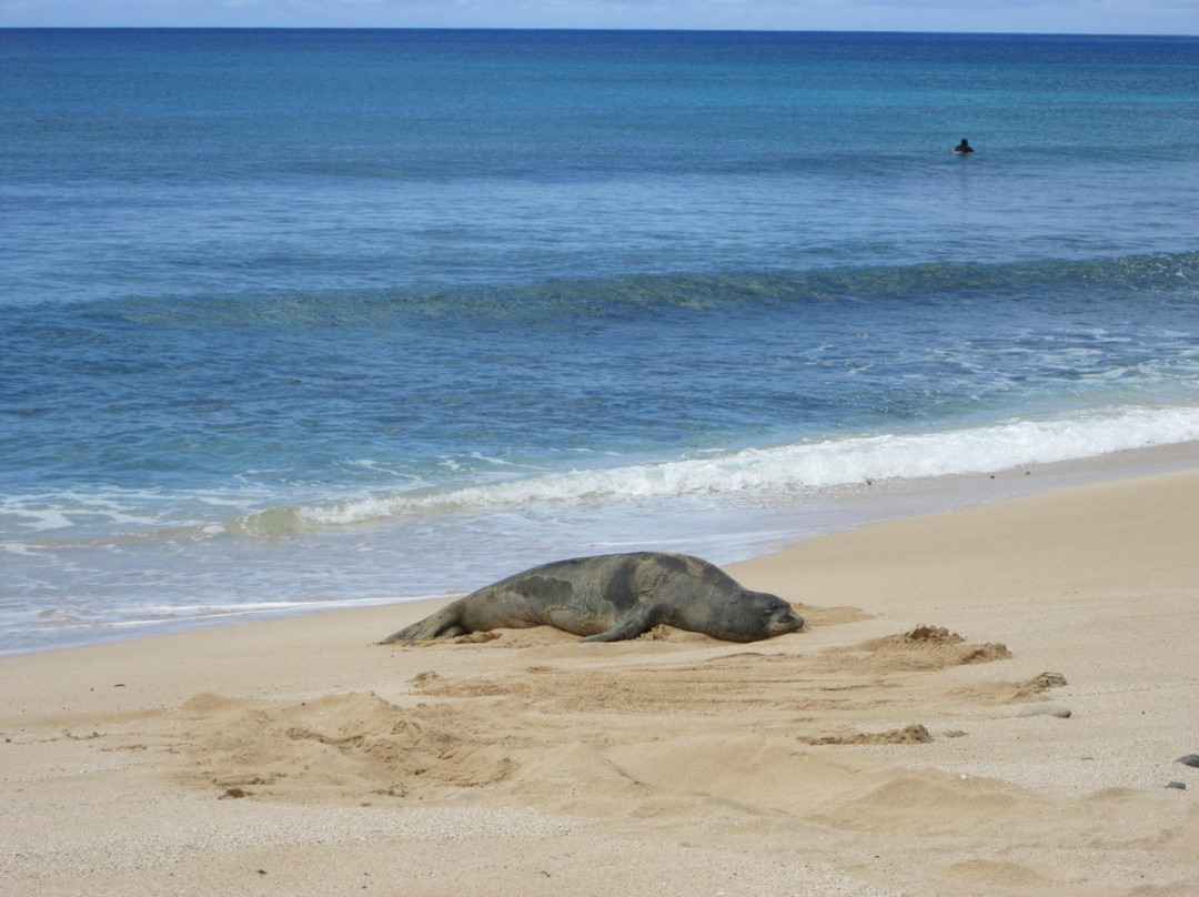 互凯海滩公园-Pupukea必去景点