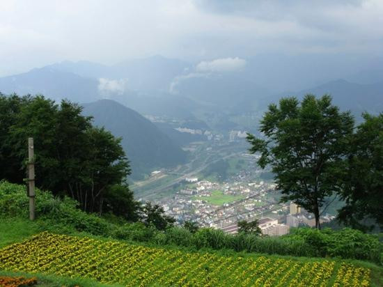Yuzawa Highland Alpine Garden景点图片