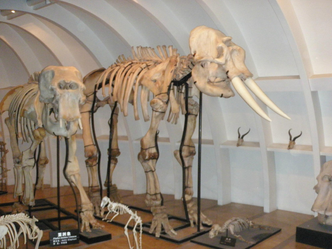 昆明动物博物馆-昆明市必去景点