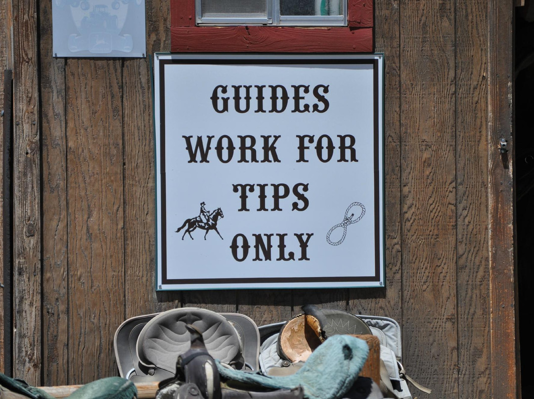 Baldwin Lake Stables-大熊湖必去景点