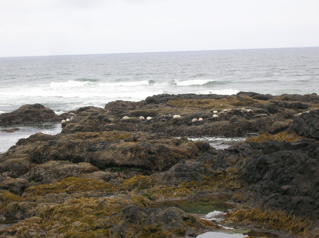 Yachats coastline-亚查茨必去景点