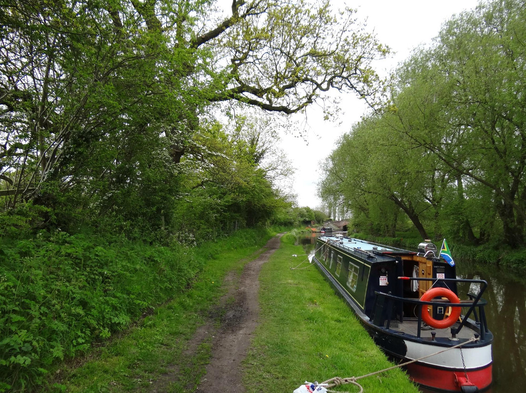 Trent and Mersey Canal景点图片