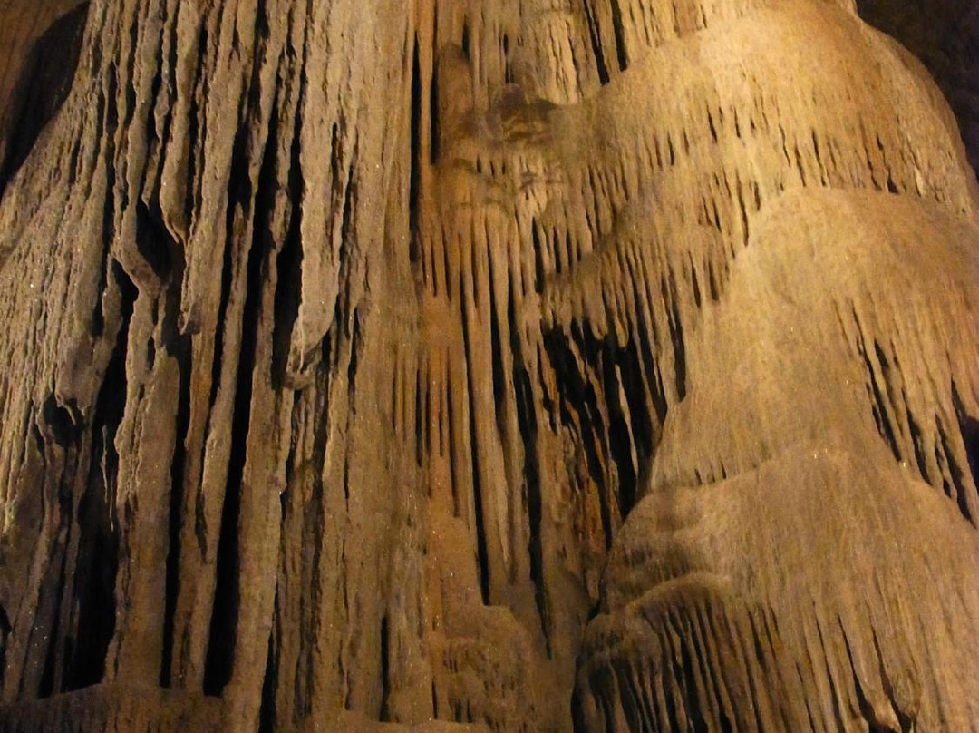 Wellington Caves & Phosphate Mine景点图片