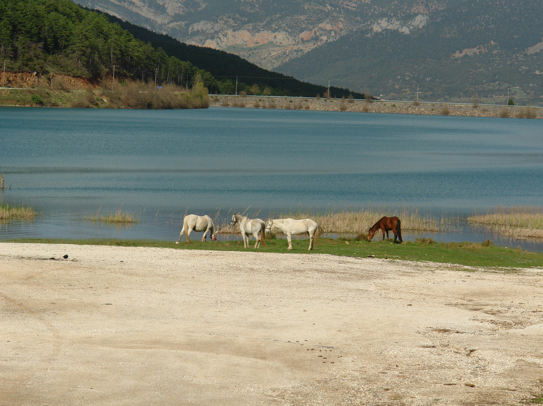 Lake Stymphalia-科林斯必去景点