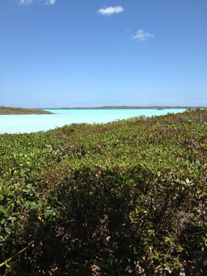 Chalk Sound-普罗维登西亚莱斯必去景点