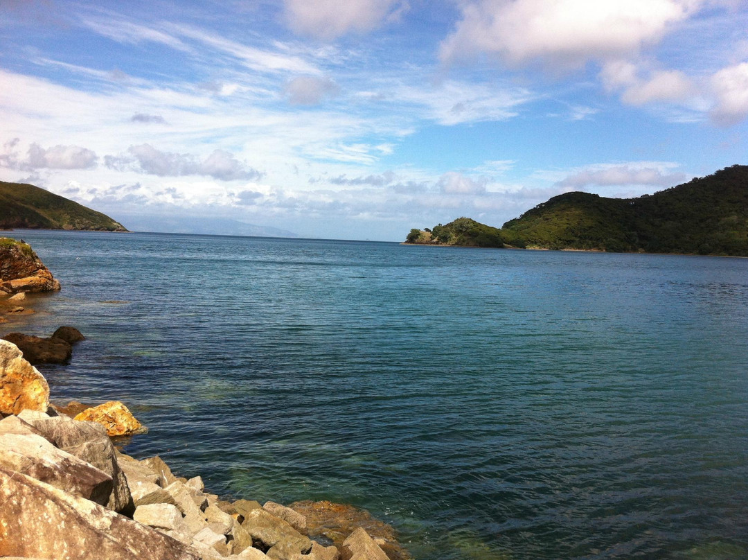 Great Barrier Lodge