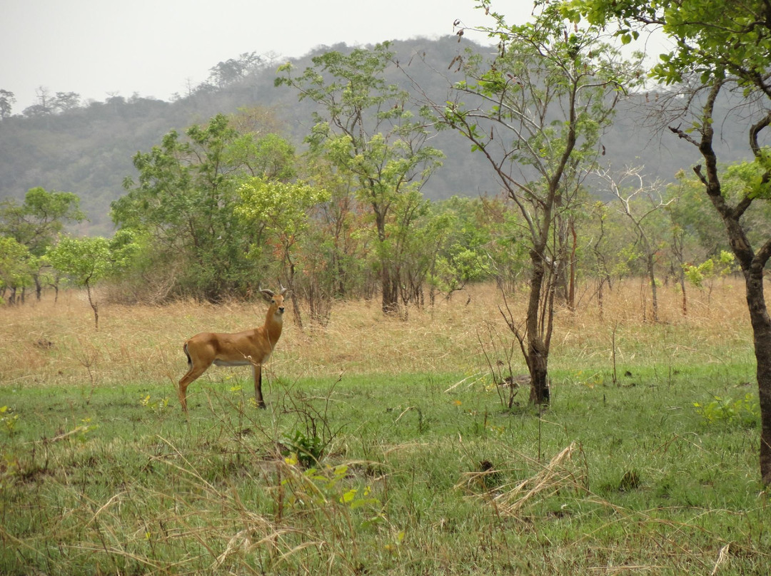 Shai Hills Resource Reserve-Afienya必去景点