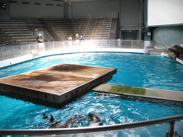 Mystic Aquarium-神秘河必去景点