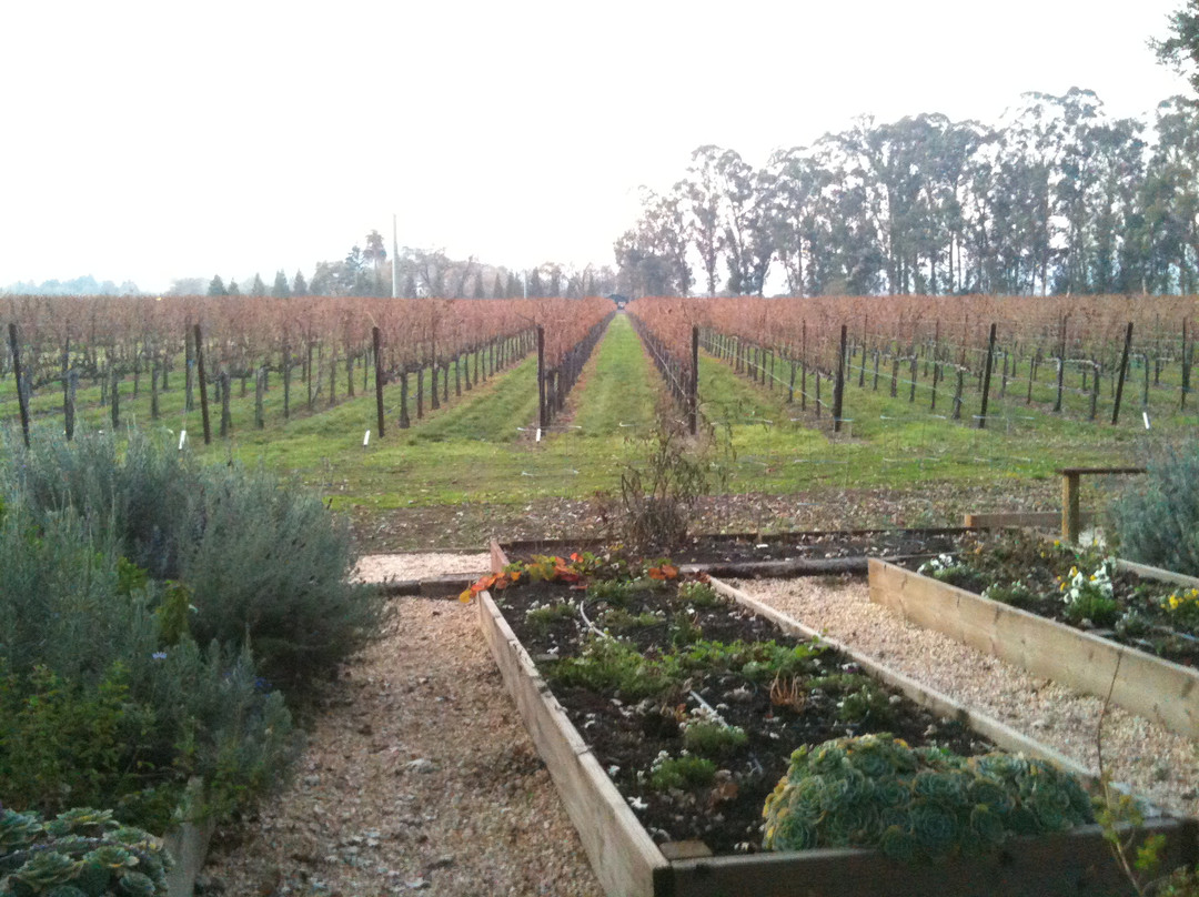 Hopper Creek Winery景点图片