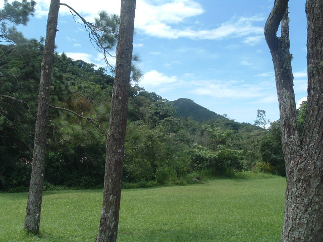 El Nispero Zoo and Botanical Garden景点图片