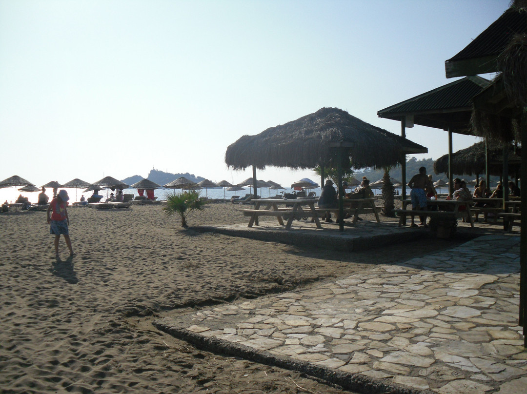 Dalyan Nehri景点图片