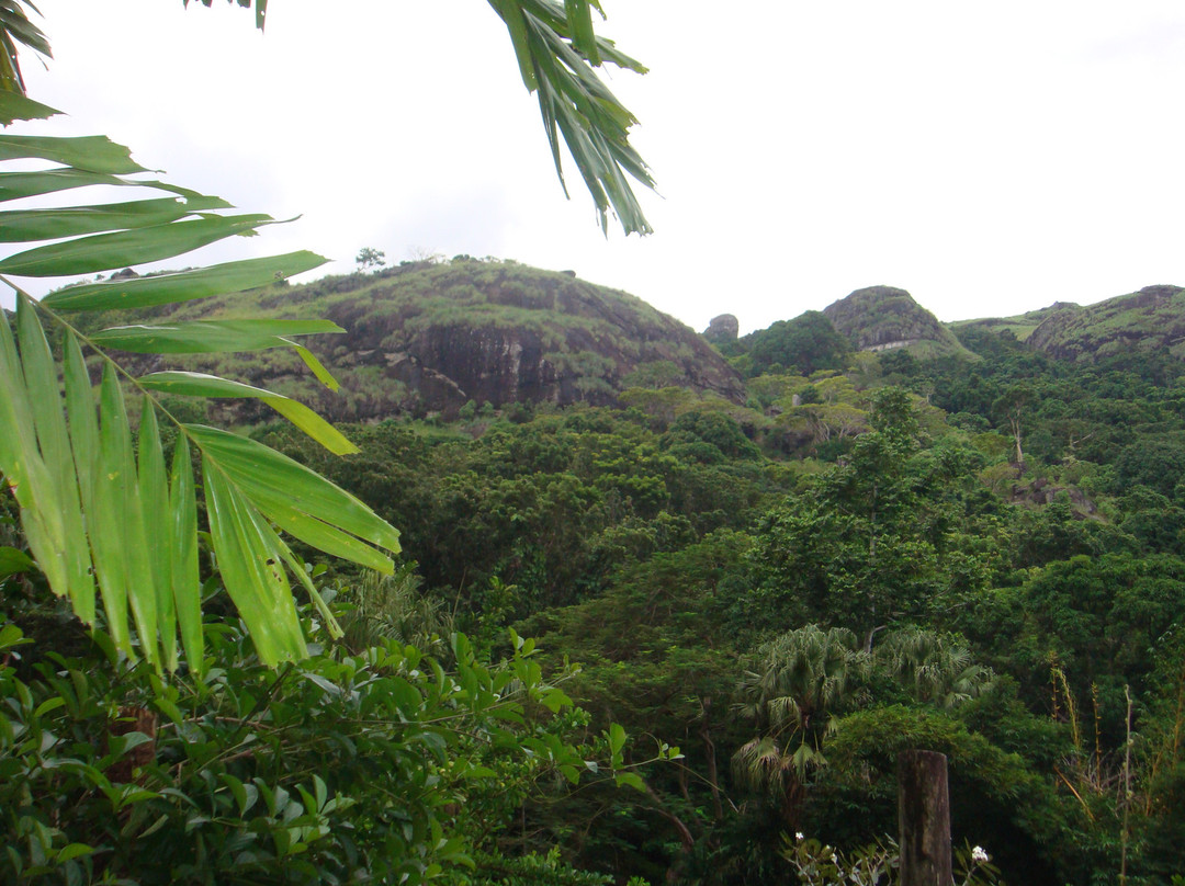 巨人的沉睡花园-纳迪市必去景点