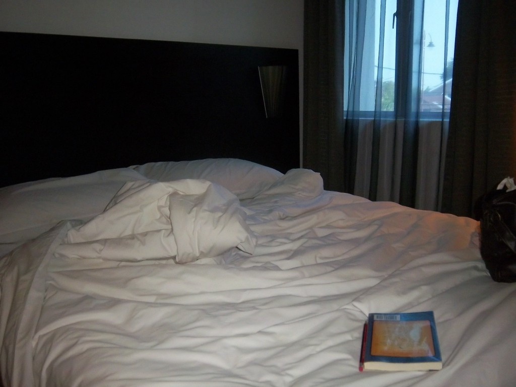 莱雷吉商务酒店 - 瓜拉吉打主图