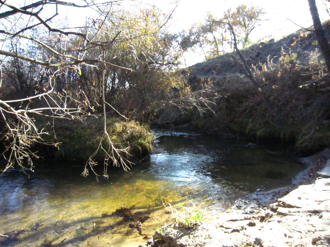 御道口草原森林风景区-围场县必去景点