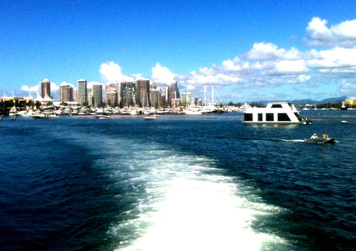 Sea World Cruises-黄金海岸必去景点