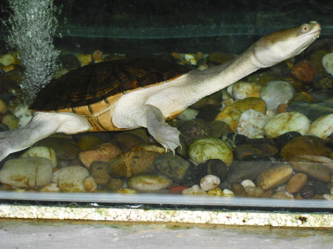 蝴蝶公园-吉隆坡必去景点