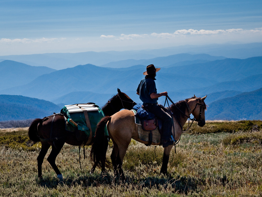 Bogong Horseback Adventures景点图片