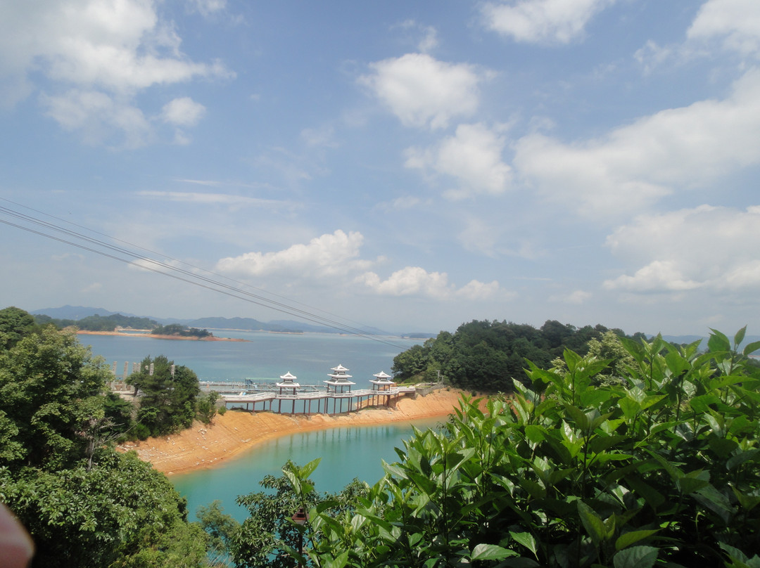 万绿湖景点图片