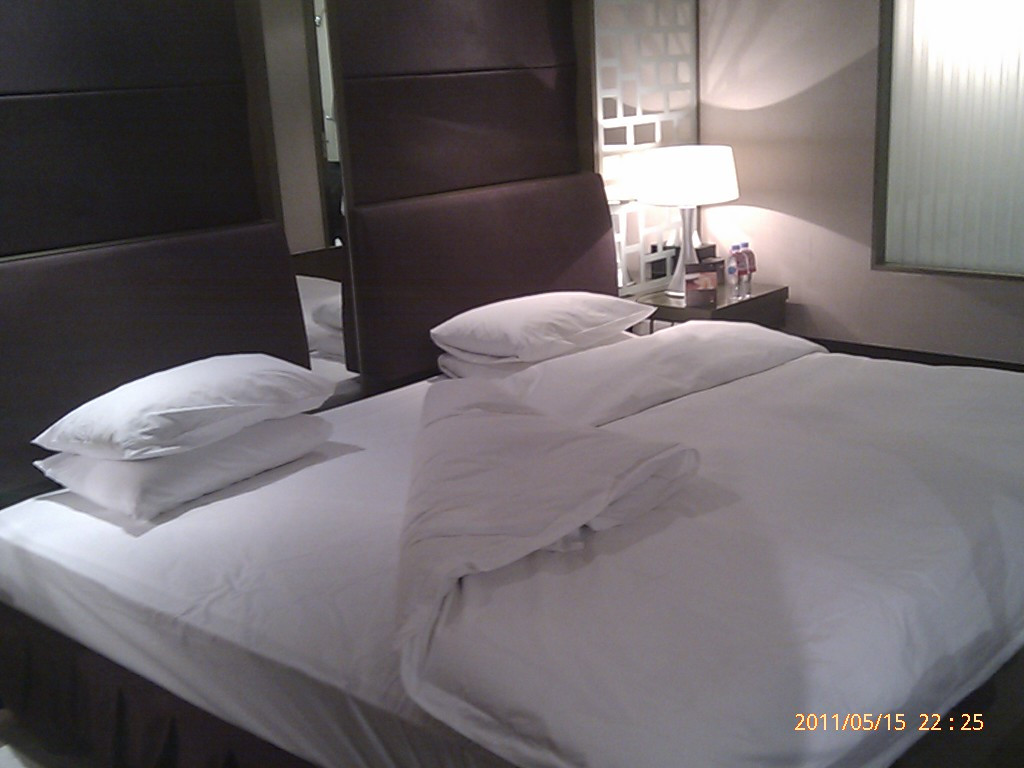 Swissôtel Shenyang主图