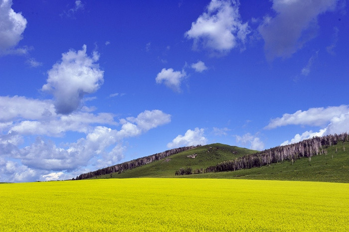 呼伦贝尔古城-呼伦贝尔市必去景点